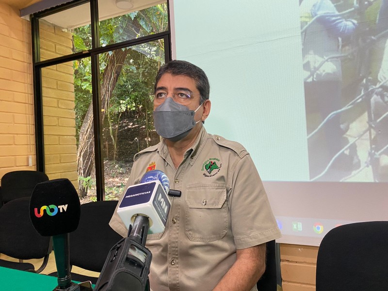 Arriban al ZOOMAT un puma y 2 coyotes previamente rescatados