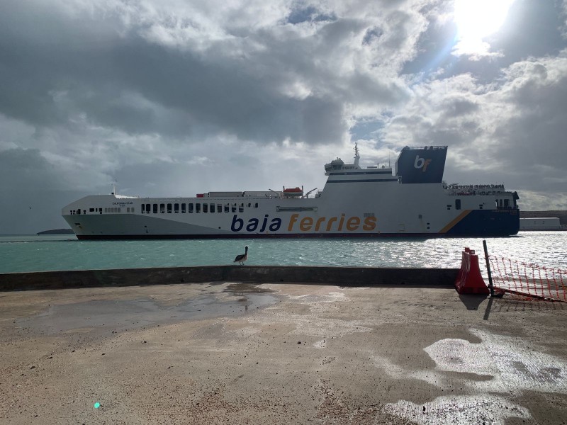 Arriban tripulantes de baja ferries que quedaron fondeados durante huracán”norma”