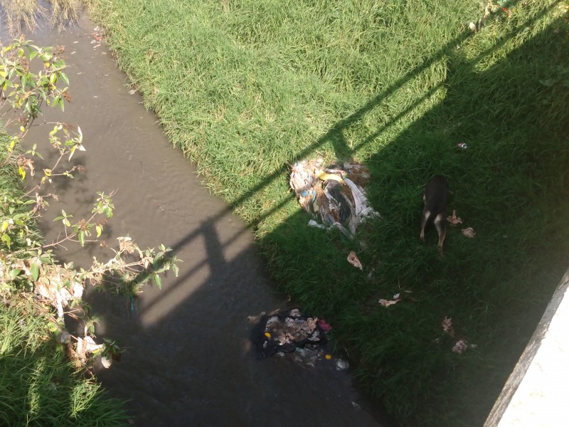 Arrojan residuos de animales a canales en Mexicaltzingo