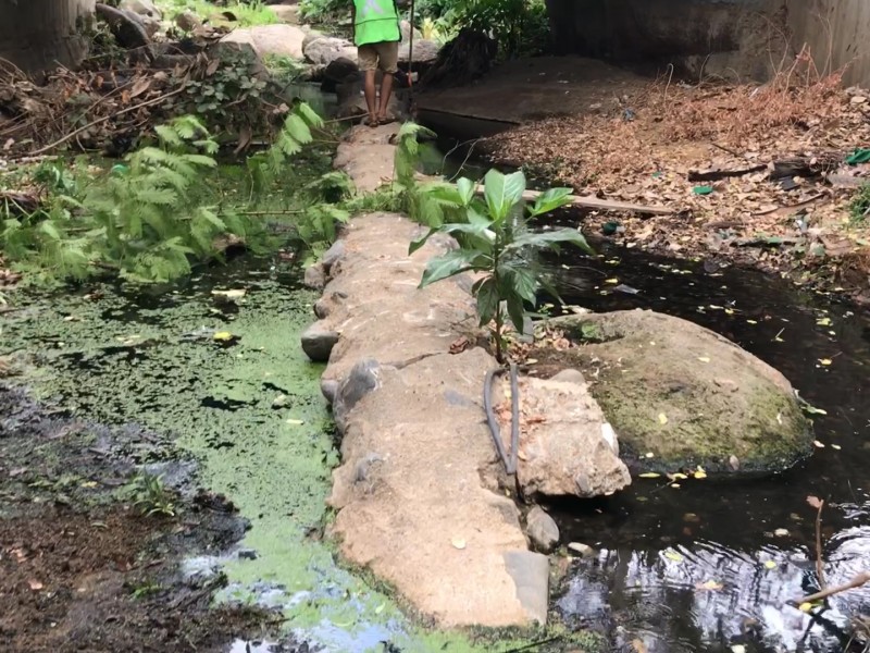 Arroyo del Mesón en Petatlán, convertido en basurero