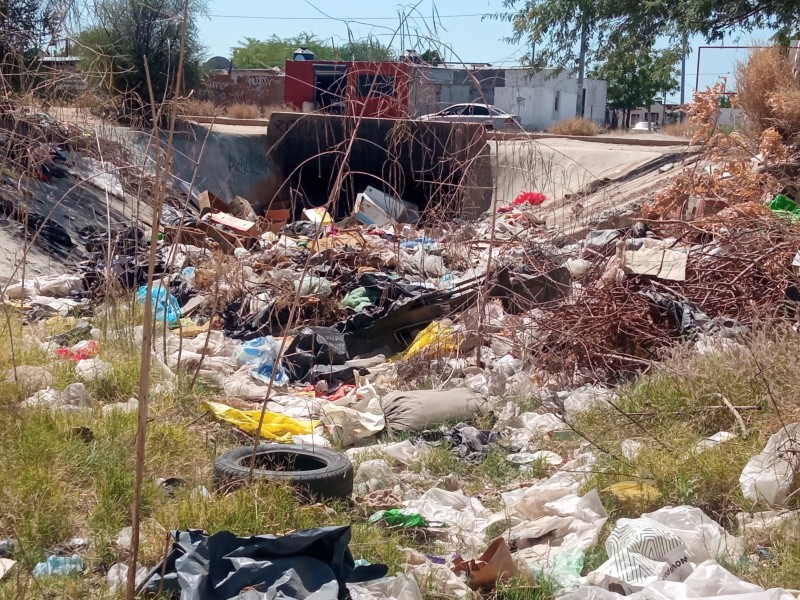 Arroyo es convertido en basurero en La Cholla