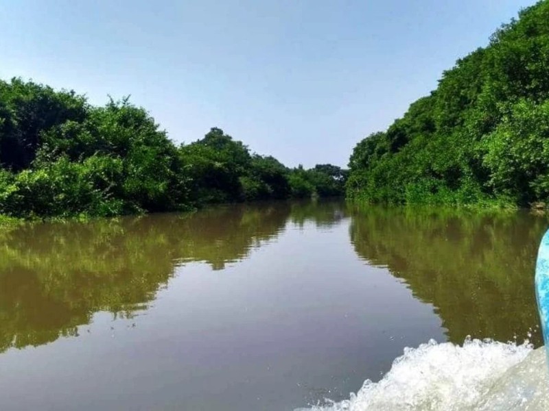 Arroyo Moreno el paraíso que las inmobiliarias están sepultando