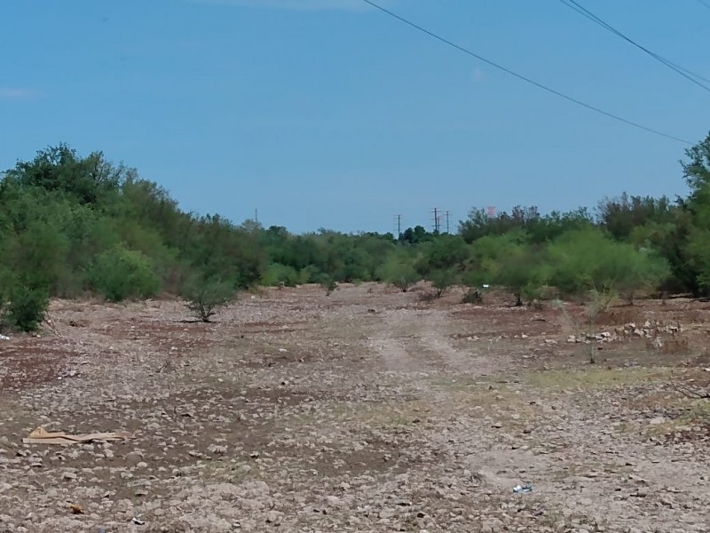 Arroyos de Guaymas 90% limpios