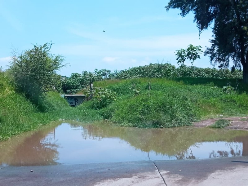 Arroyos y río alcanzan niveles altos tras las lluvias en La Piedad