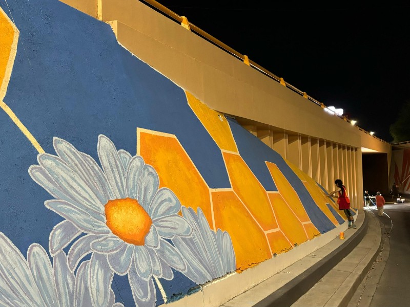 Artistas realizan pintado de murales en puentes y pasos a desnivel