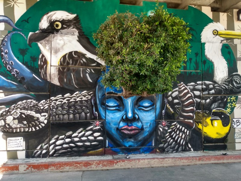 Artistas urbanos plasman sus obras en infraestructura Josefina