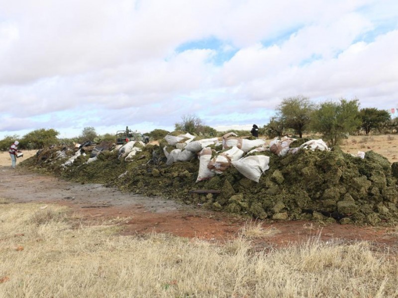 Asegura Ejército cerca de 400 kilos de marihuana