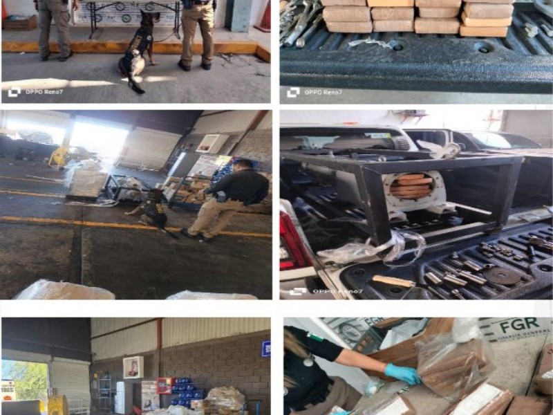Aseguran 20 kilos de cocaína ocultos en paquetería de Hermosillo
