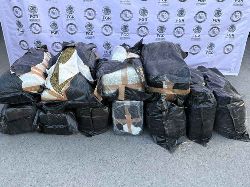 Aseguran 200 kilos de marihuana en General Bravo, Nuevo León