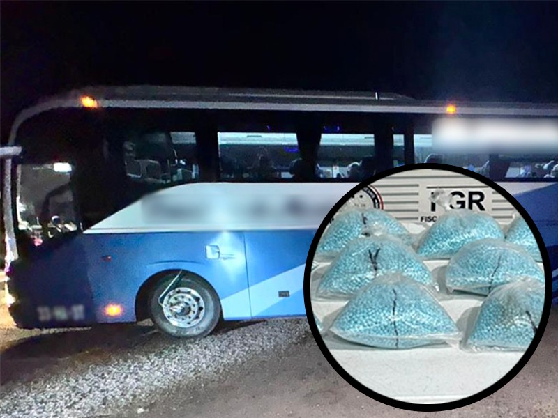 Aseguran 200 mil pastillas de fentanilo en autobús en Sonora