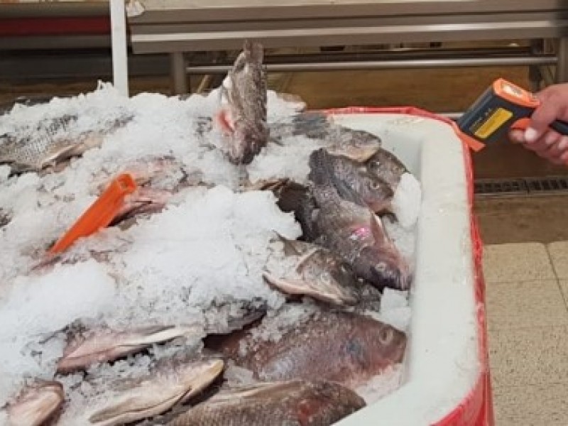 Aseguran 250 kilos de pescado en mal estado