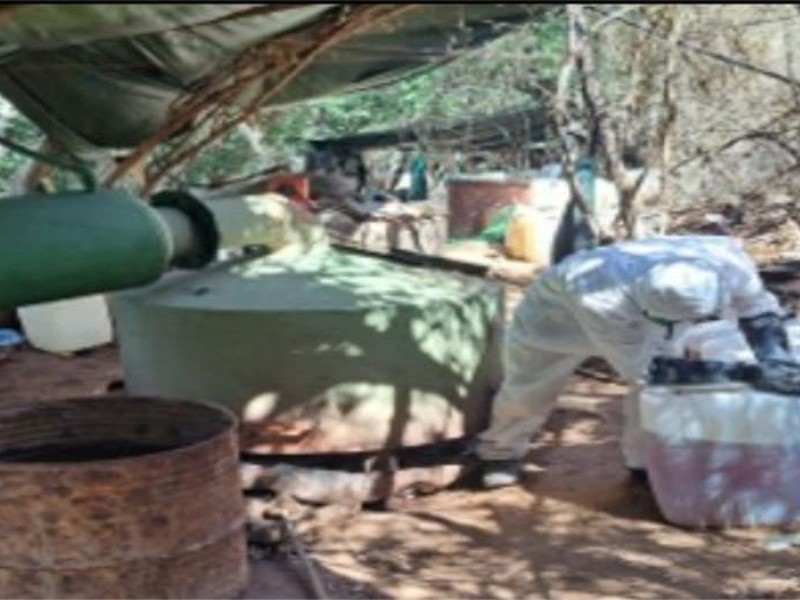 Aseguran 27 laboratorios clandestinos en Sinaloa