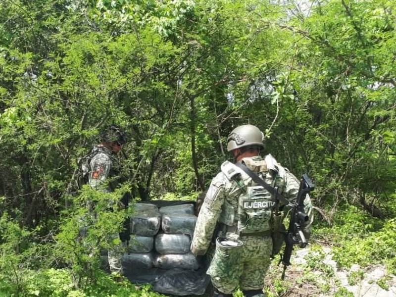 Aseguran 320 kilos de marihuana en Zapopan