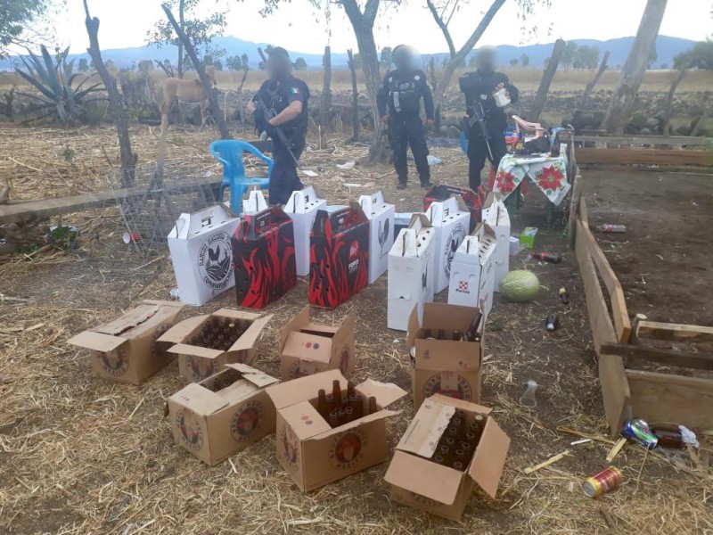 Aseguran a 29 personas que participaban en pelea de gallos