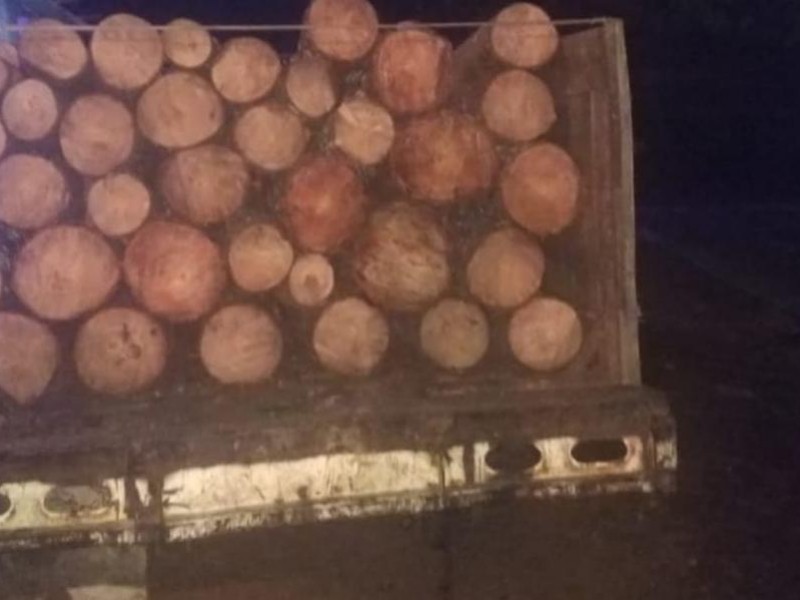 Aseguran camioneta con madera ilegal en Madero