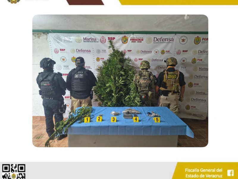Aseguran droga en operativo de cateo, en Xico