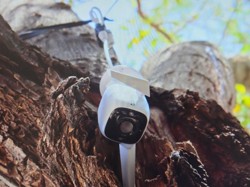 Aseguran droga y cámara de videovigilancia en cateo