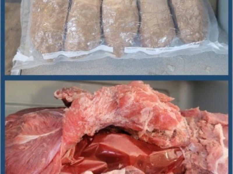 Aseguran Metanfetamina en bolsas de carne de res