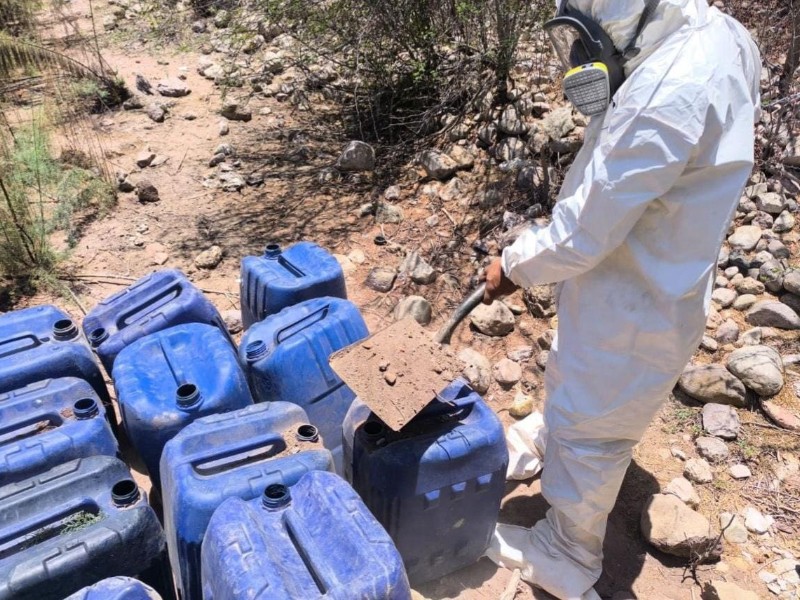Aseguran precursores químicos para drogas sintéticas en Mocorito