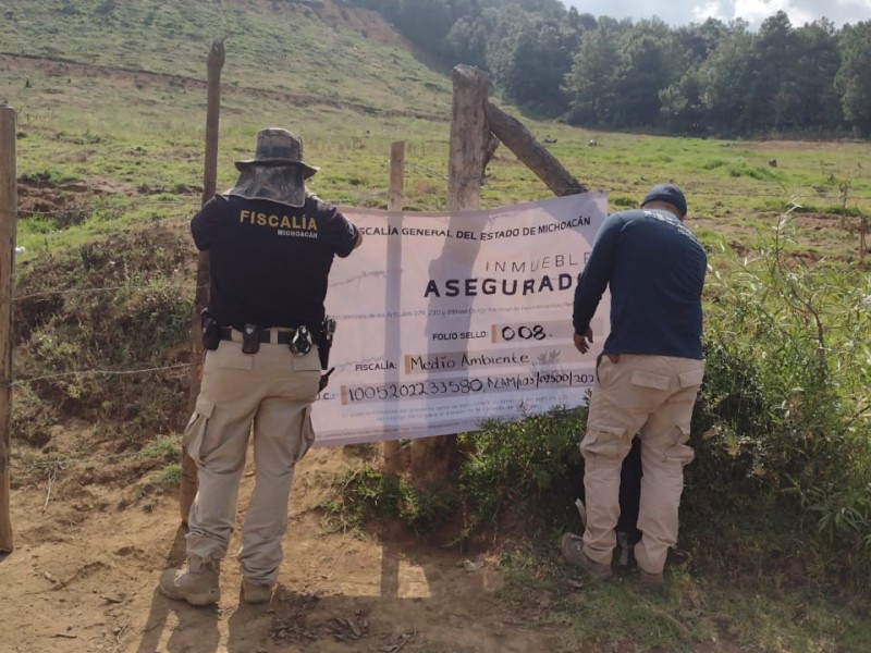 Aseguran predio por posible comisión de delitos en Zacapu