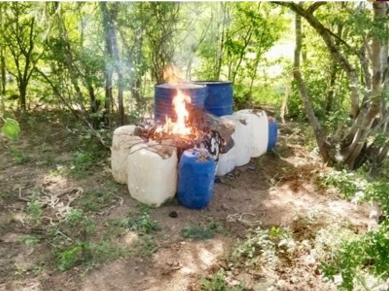 Aseguran y destruyen precursores químicos en comunidades de Culiacán