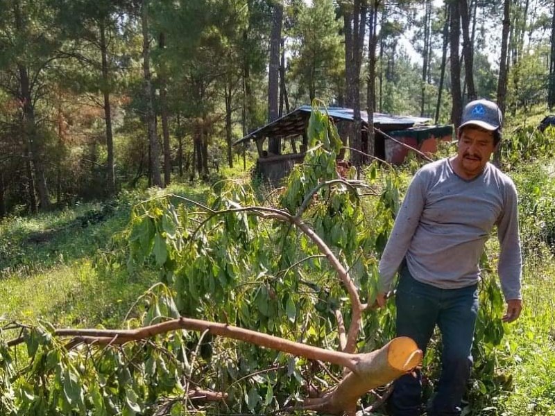 Asesinan a comisario de bienes comunales de Sicuicho