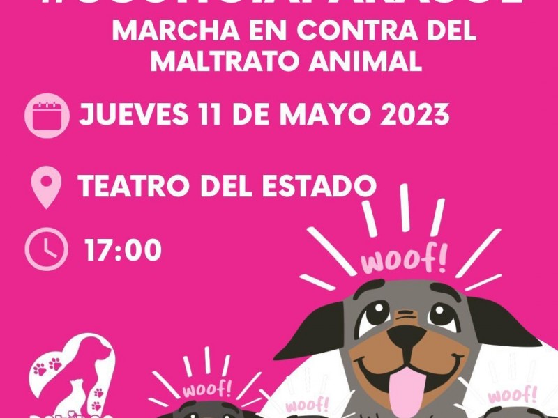 Asesinan a perrita en Xalapa; exigen justicia