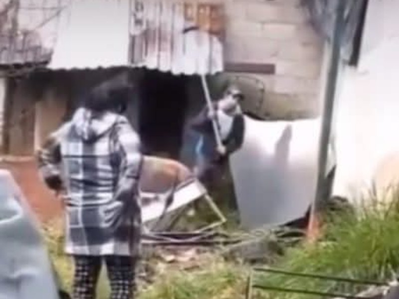 Asesinan a perrito en Lerma; se investiga el caso