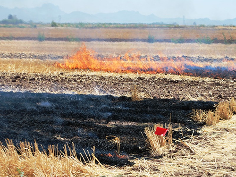 Asesorarán a comuneros para evitar incendios