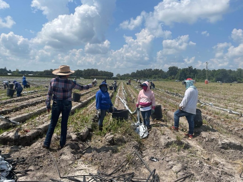 Asesoría legal a la comunidad migrante que radica en Florida.