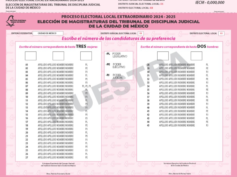 Así cuidaran la elección del Poder Judicial de la Federación