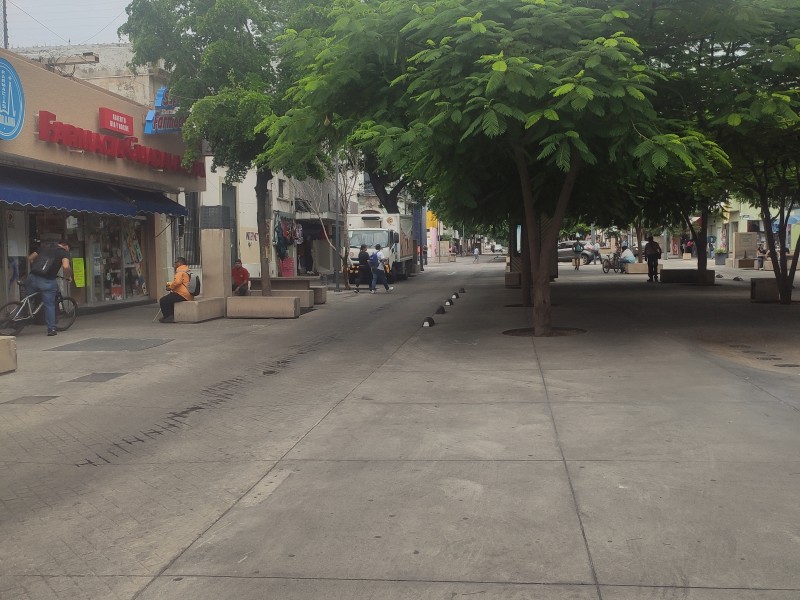 Así ha evolucionado Paseo Alcalde