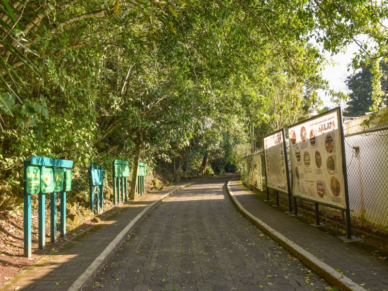 Así quedó el parque Macuiltépetl tras remodelación