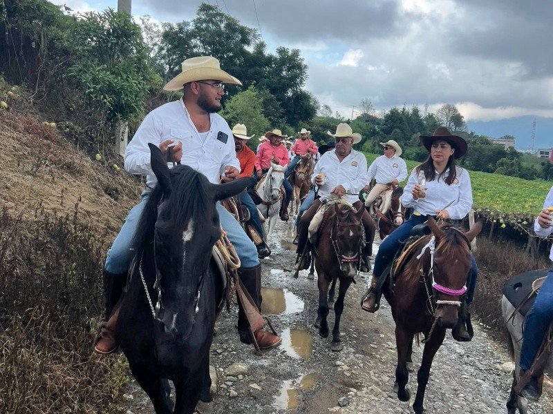 Asociación de Jinetes de Veracruz niega presencia de gusano barrenador en caballos