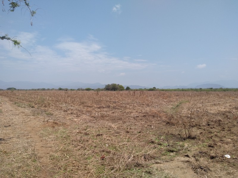 Asociación ganadera denuncia posible invasión de tierras en Tehuantepec