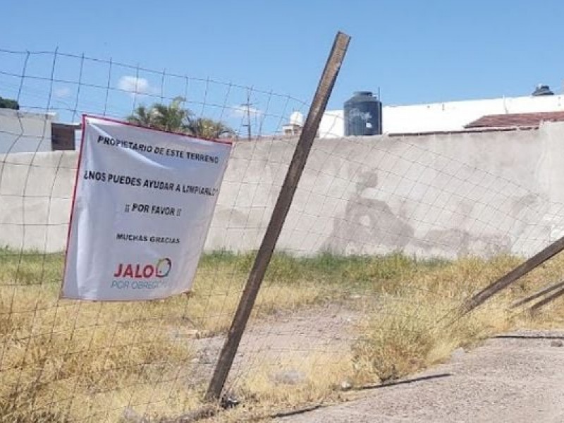 Asociación invita a limpiar a dueños de lotes baldíos