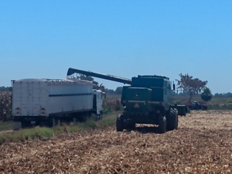 Asociaciones agrícolas esperan que Morena se reivindique