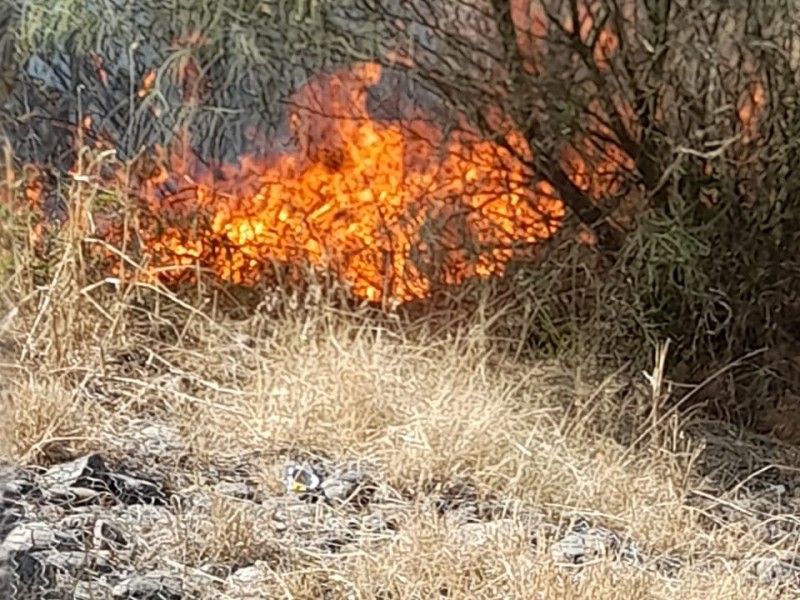 Atacan incendio forestal en Mazatán
