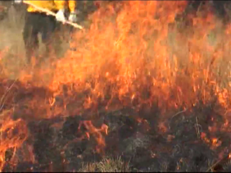 Atacan incendio forestal en Ramos Arizpe