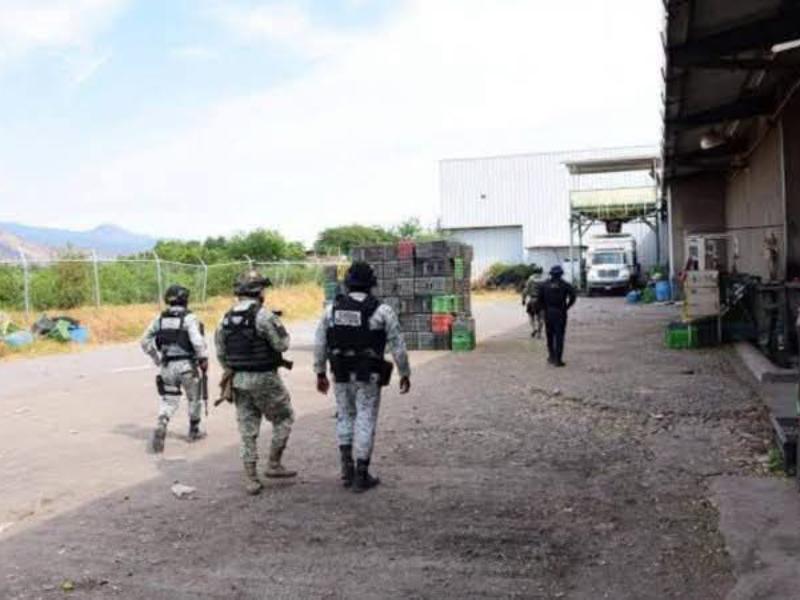 Ataque contra trabajadores de acopio de aguacate deja tres muertos