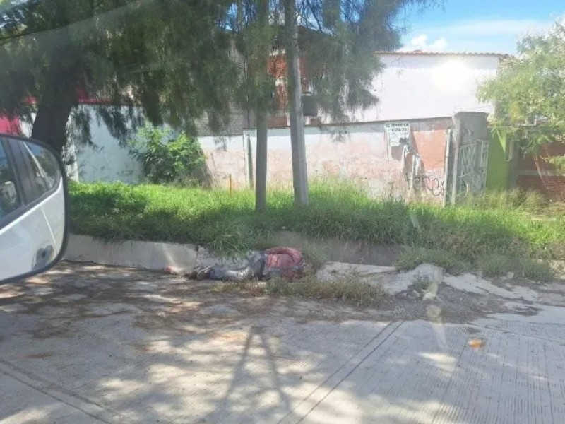Ataque de abejas deja un muerto en Etla