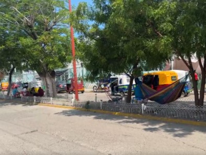 Ataque de enjambre de abejas deja 17 heridos en Juchitán