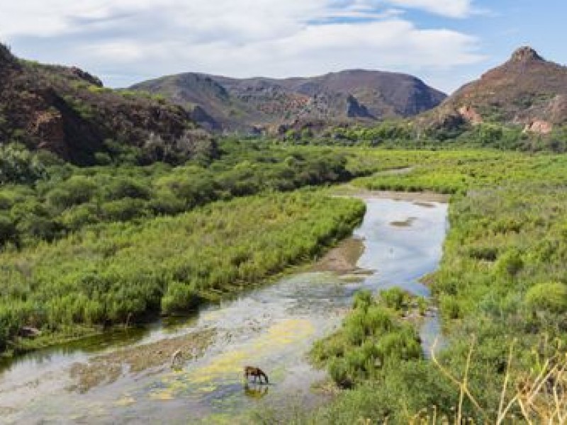 Atención médica en Río Sonora atenderá Plan Integral de Cananea