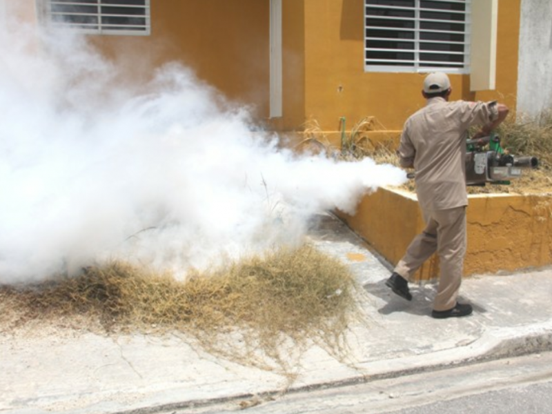 ¡Atención!Conoce los sectores que fumigarán contra el dengue este sábado