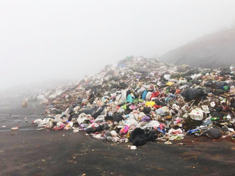 Atenta ayuntamiento de San Cristóbal contra medio ambiente