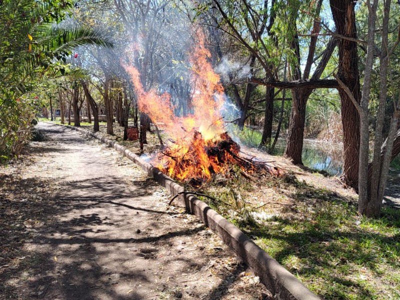 Atentado de incendio en el Parque Metropolitano