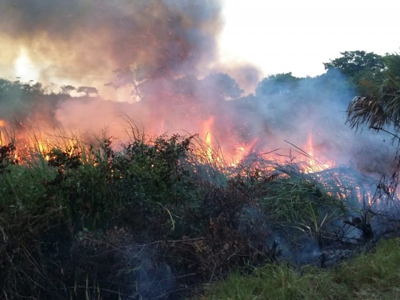 Atentos ante incendios en pastizales en Tuxpan