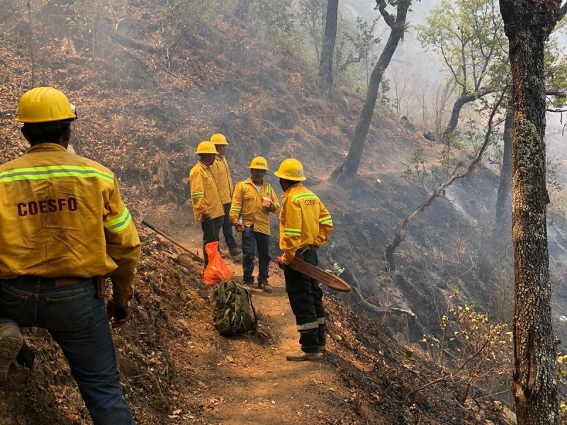 Atiende Coesfo 10 incendios activos en Oaxaca