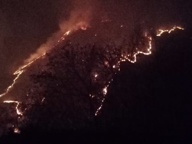 Atiende Coesfo incendio forestal de Santo Tomás Mazaltepec