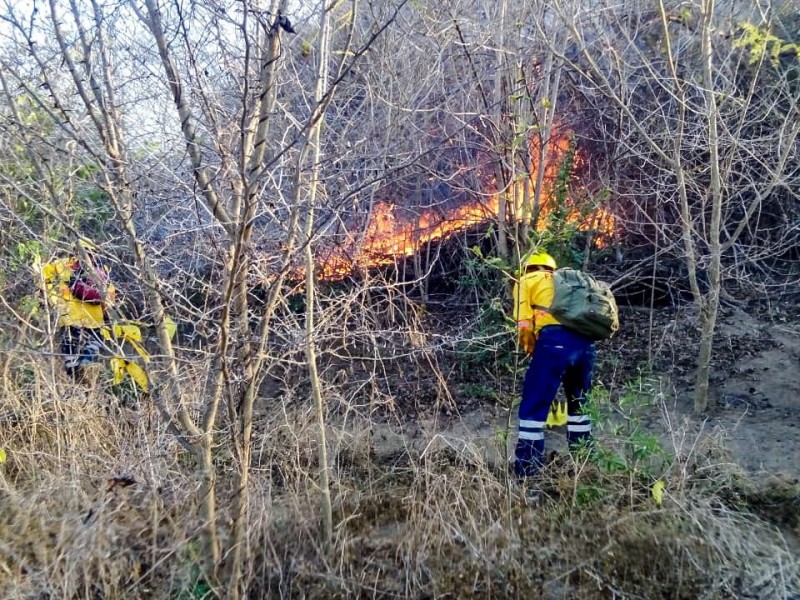 Atiende COESFO siete incendios forestales en Oaxaca